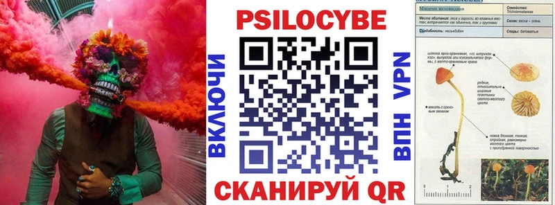 Псилоцибиновые грибы Psilocybine cubensis  Старая Русса 