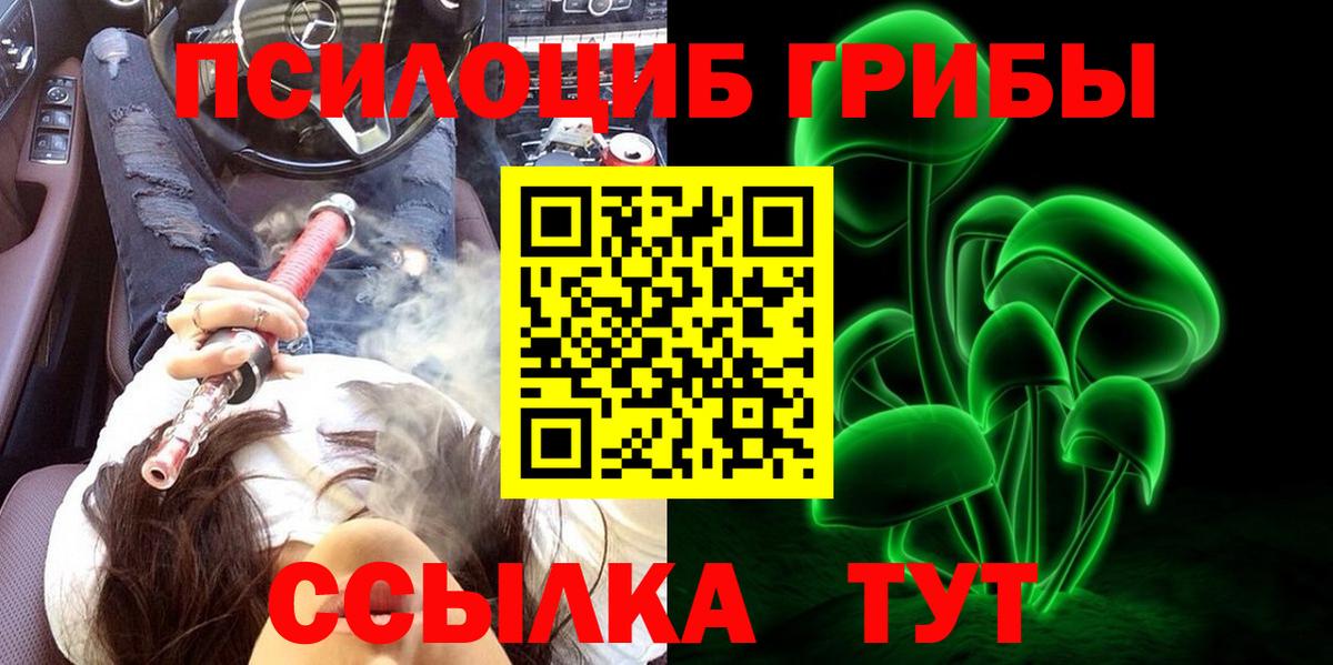 Старая Русса  Псилоцибиновые грибы Psilocybine cubensis  Псилоцибиновые грибы мухоморы  наркотики  Вход с VPN 